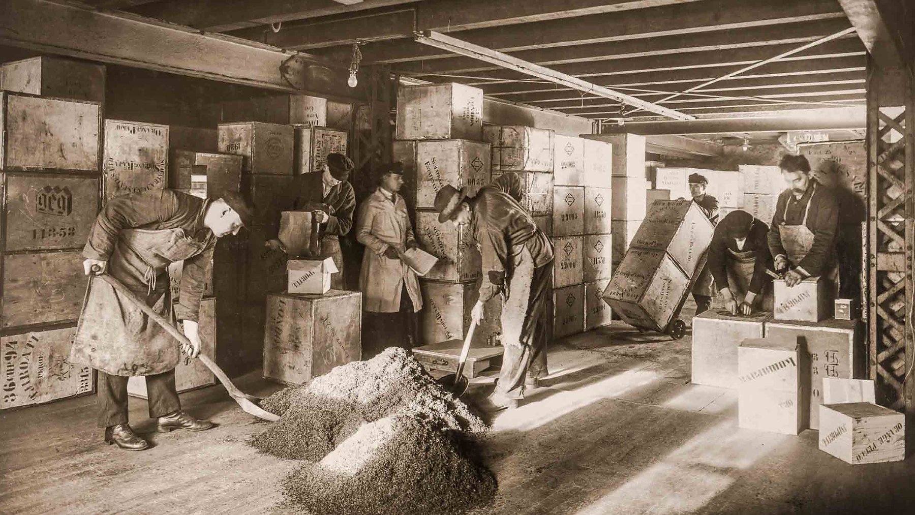 More than 145 years of dedication to tea